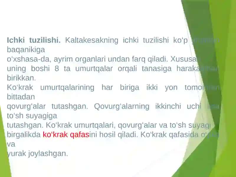 Sudralib yuruvchilar xilma-xilligi 4