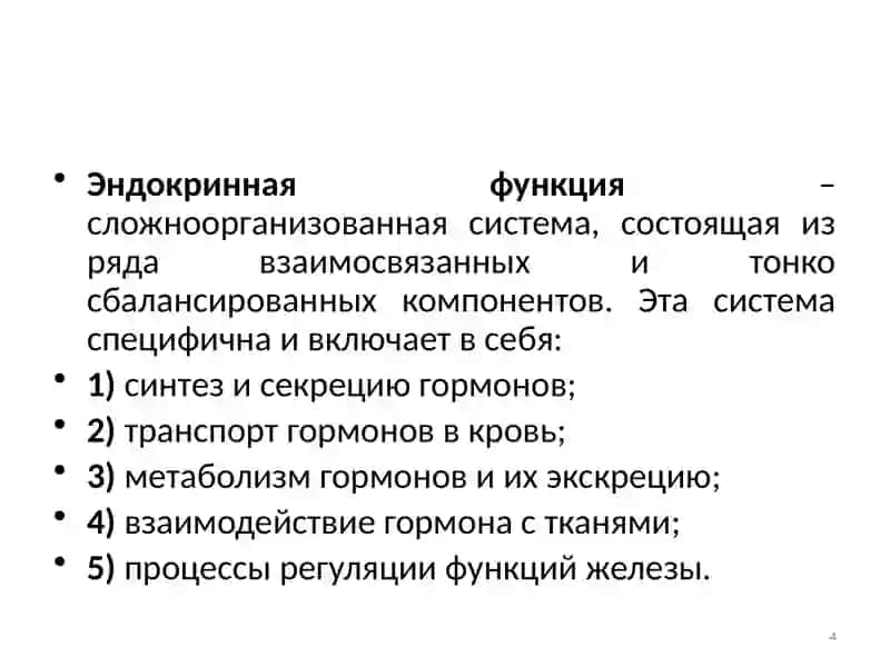Физиология эндокринной системы 4