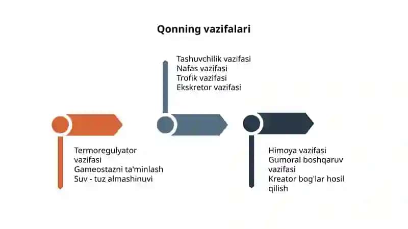 Qon fiziologiyasi 4