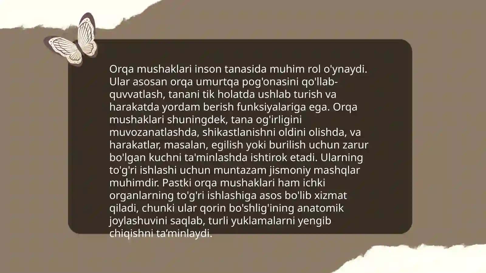 Orqa mushaklar anatomiyasi 4