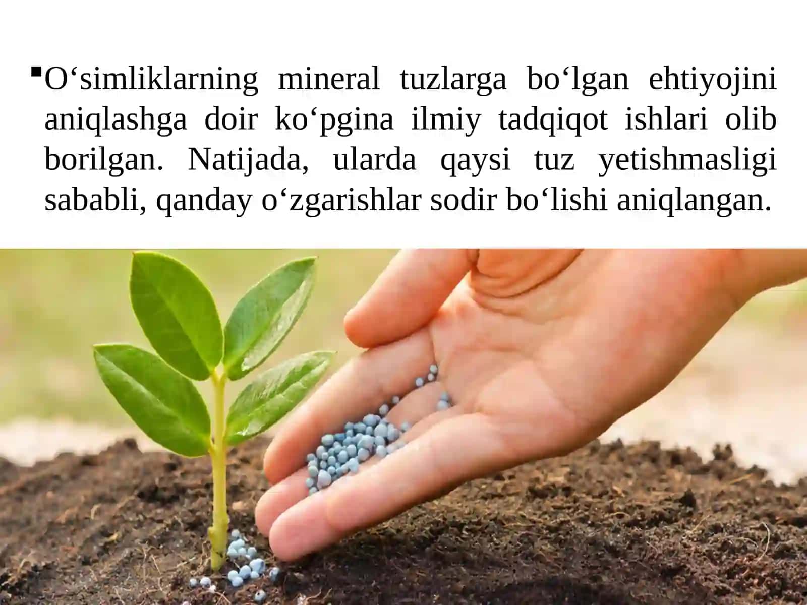 O’G’ITLAR 4