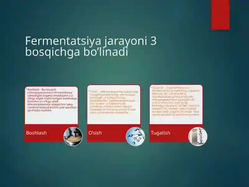 Fermentatsiyajarayonlari(non,sut,pivo, vino) 4