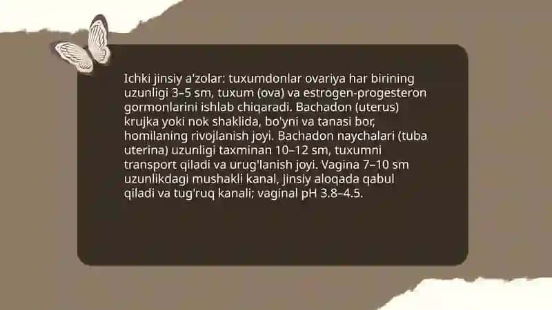Ayollar jinsiy sistemasi 4