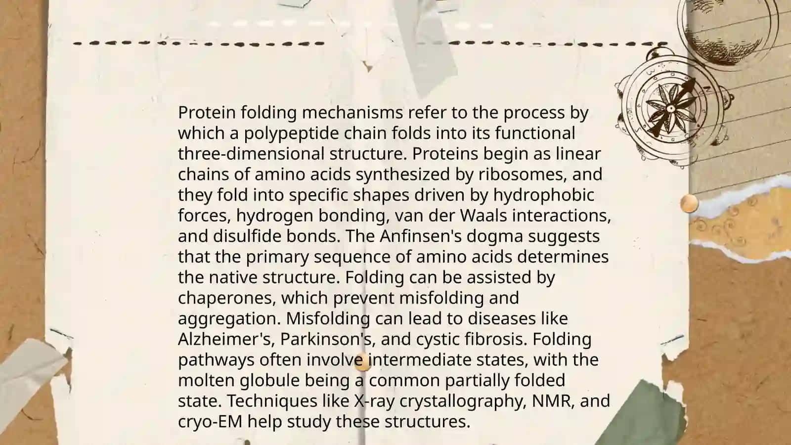Secrets of proteins 4