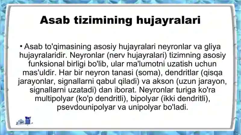 Asab tizimi fizologiyasi 4