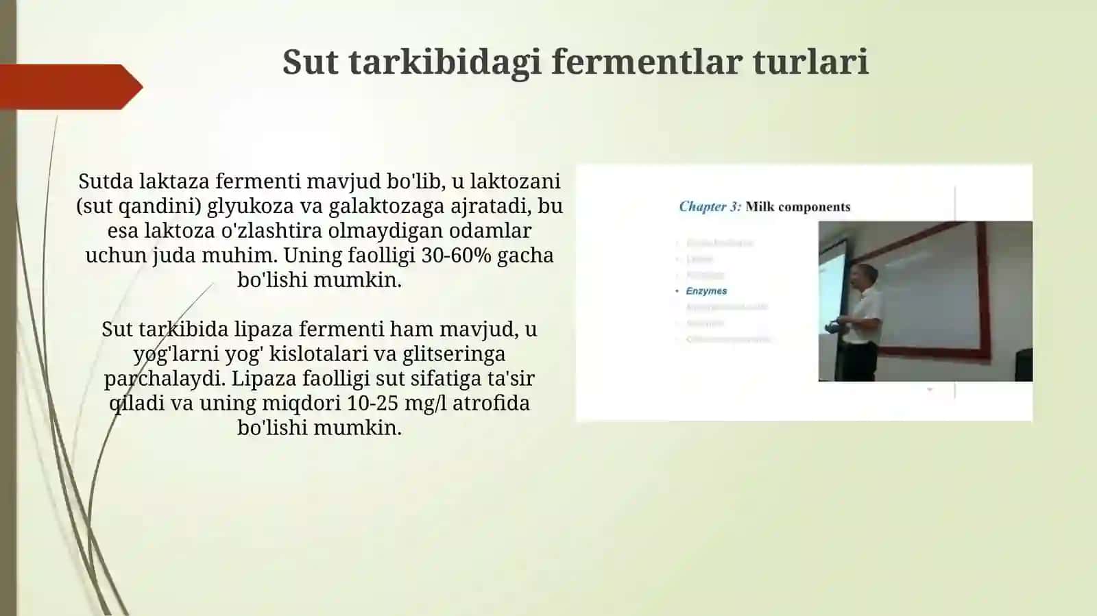 Sut tarkibidagi vitaminlar va fermentlar 4