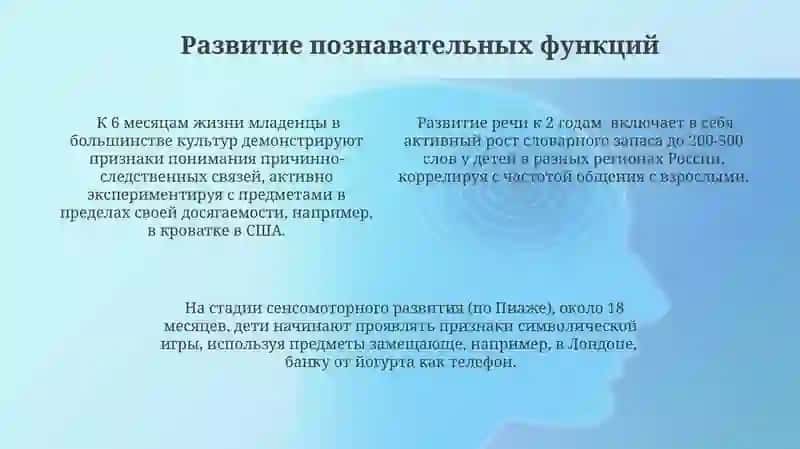 Особенности психического развития человека на ранних этапах онтогенеза 4