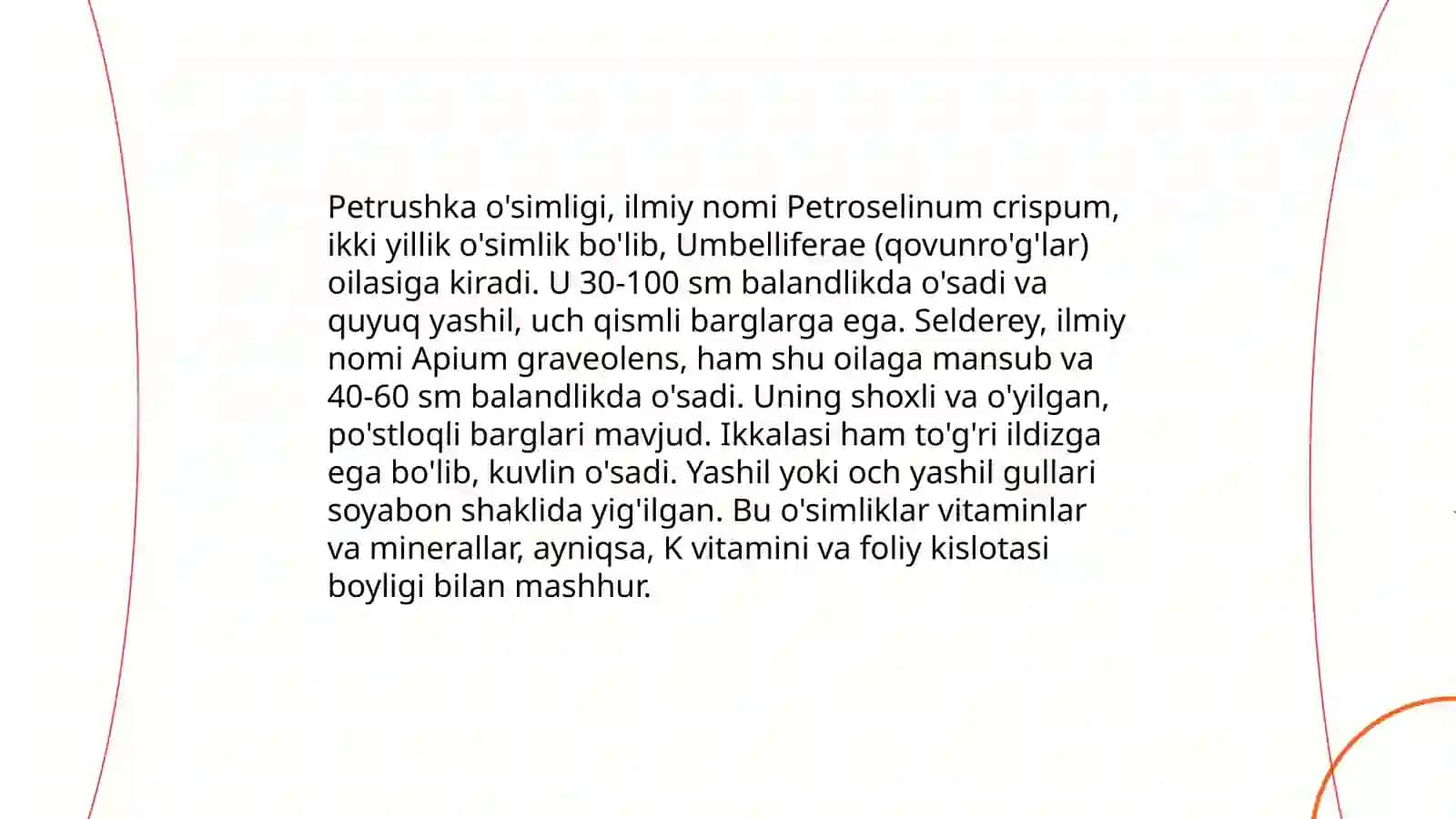 Petrushka va seldere o'simliklari haqida batafsil ma'lumot 4