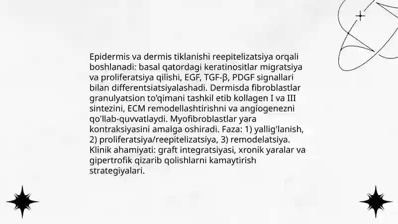 Teri regeneratsiyasi va transplantatsiyasi. Nazariy va klinik ahamiyati 4