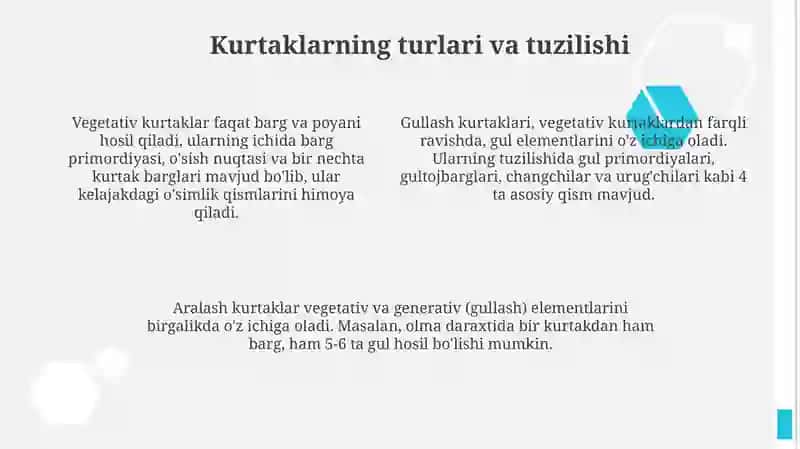 Oʻsimlik poyasining umumiy tuzilishi 4