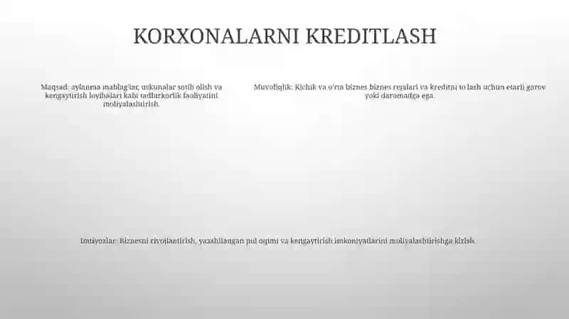 Investitsiya Faoliyatini Kreditlash 4