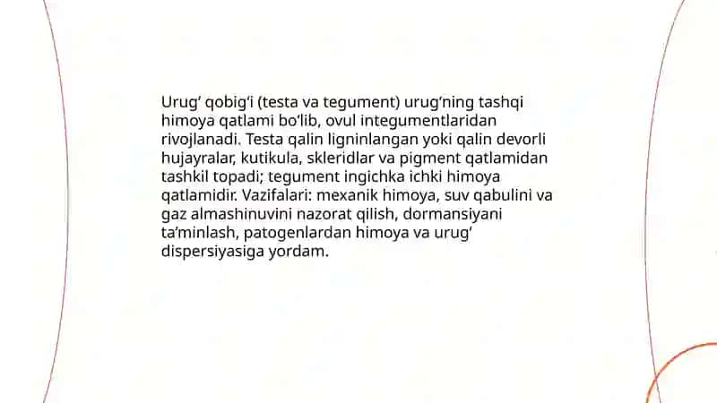 Urugʻ va mevaning tuzilishini 4