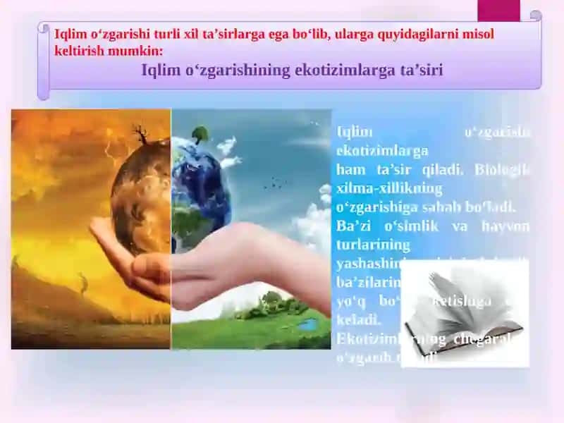 EKOSISTEMALARDAGI O‘ZARO MUNOSABATLAR 4