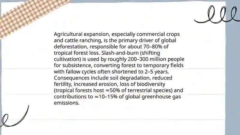 Deforestation 4