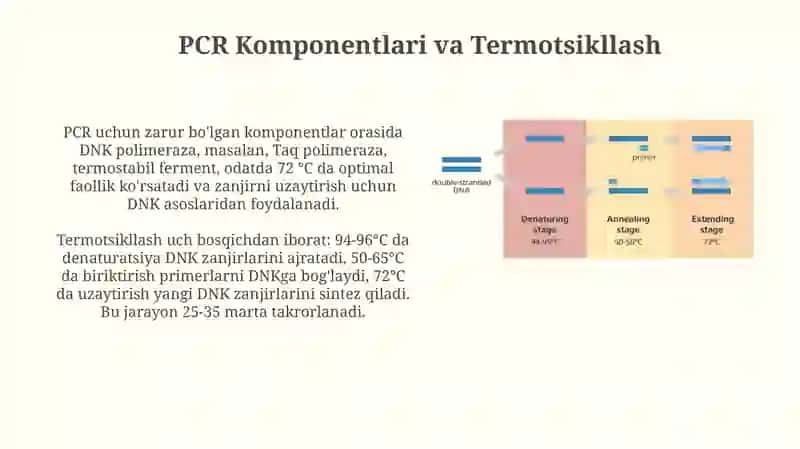 PCR: Tarix, Asoslar va Bosqichlar 4
