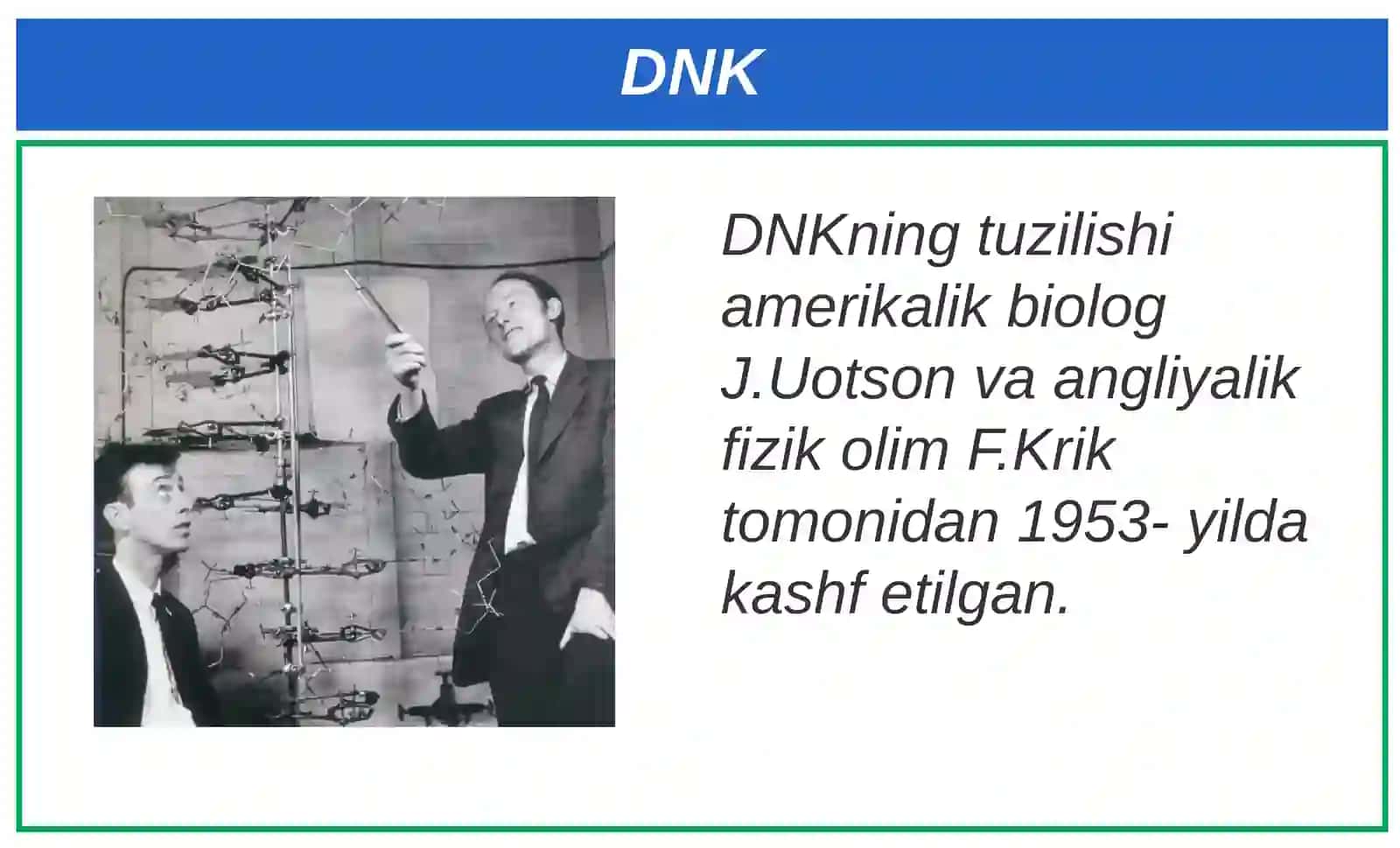 Nukleinkislotalar 4