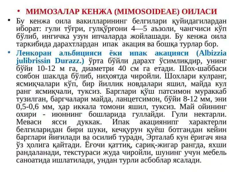 Дуккакдошлар оиласи 4