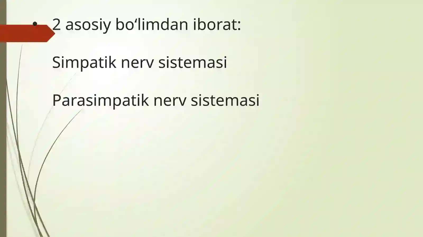Vegetativ nerv sistemasi anatomiyasi 4