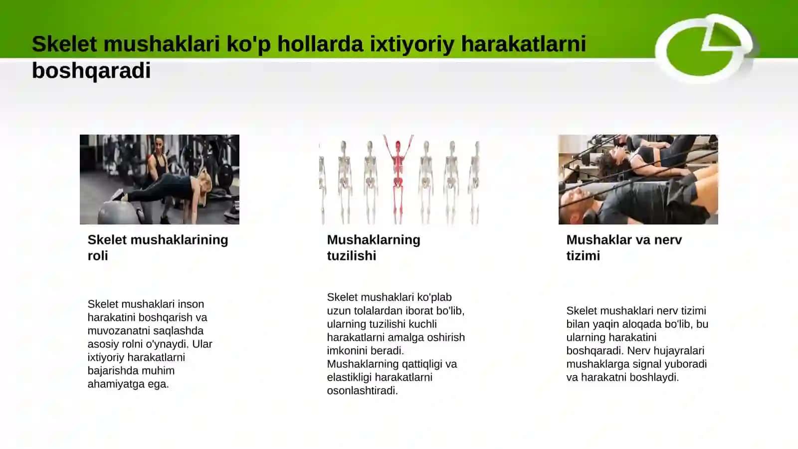 Muskullar sistemasi 4