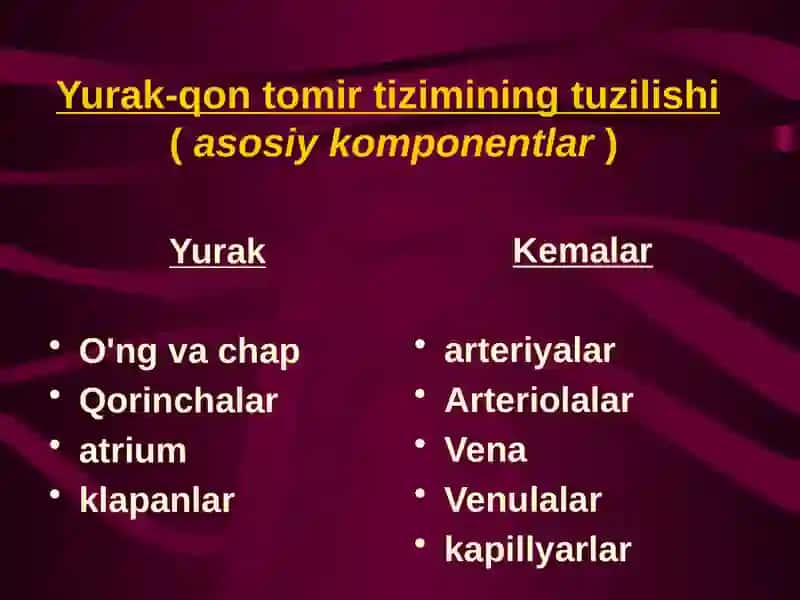 Qon aylanish sitemasining fizik xossalari 4