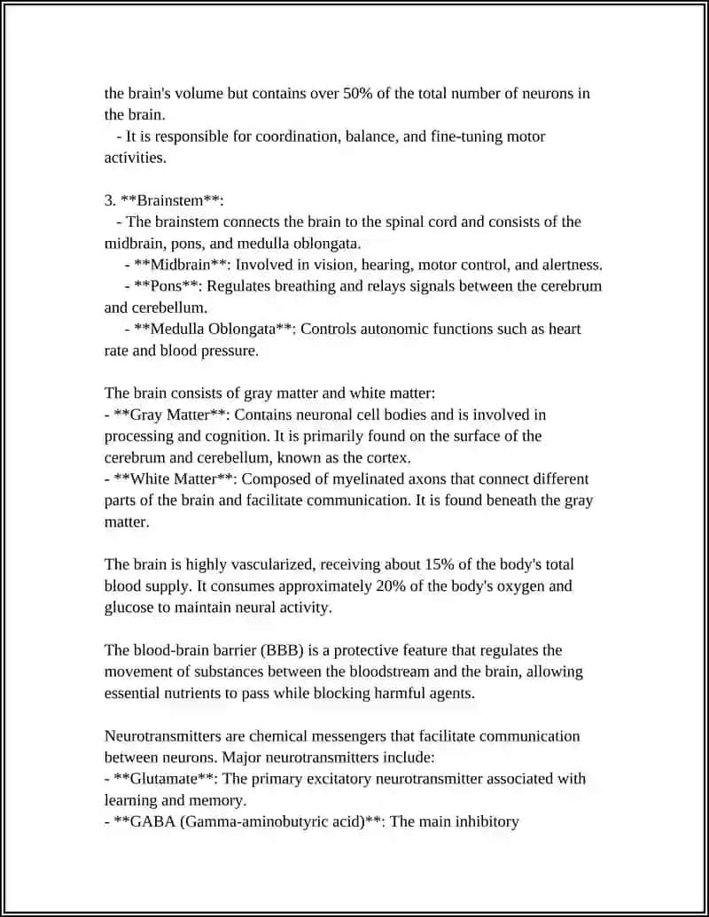 Anatomy of the Brain 4