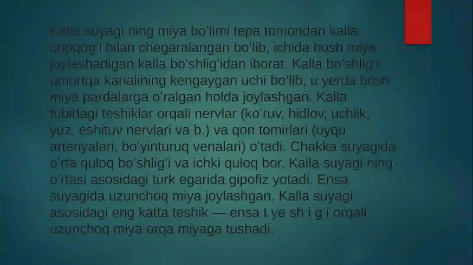 Yuz suyaklari 4