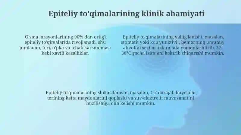Epiteliy to'qimasi: Umumiy xususiyatlari 4