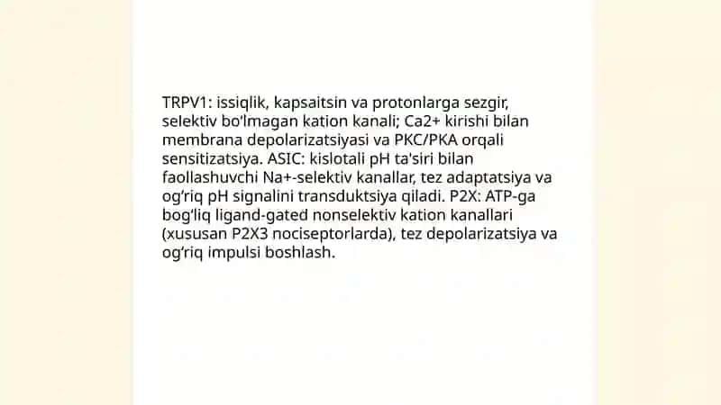 Ogriq riseptorlari. Visseroreseptorlar. Proprioriseptorlar 4