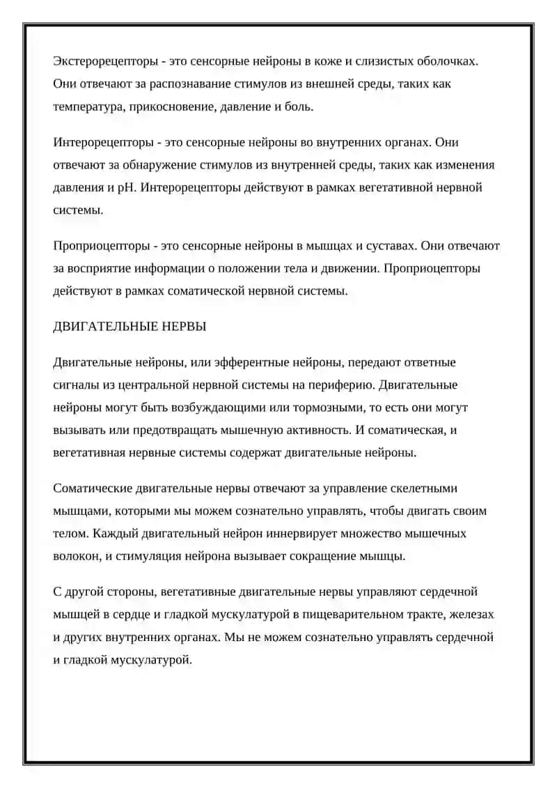 Периферическая нервная система 4