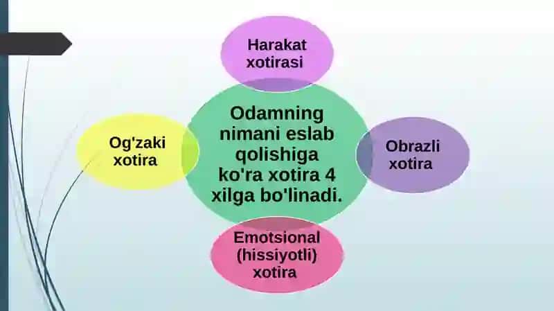 Xotira 4