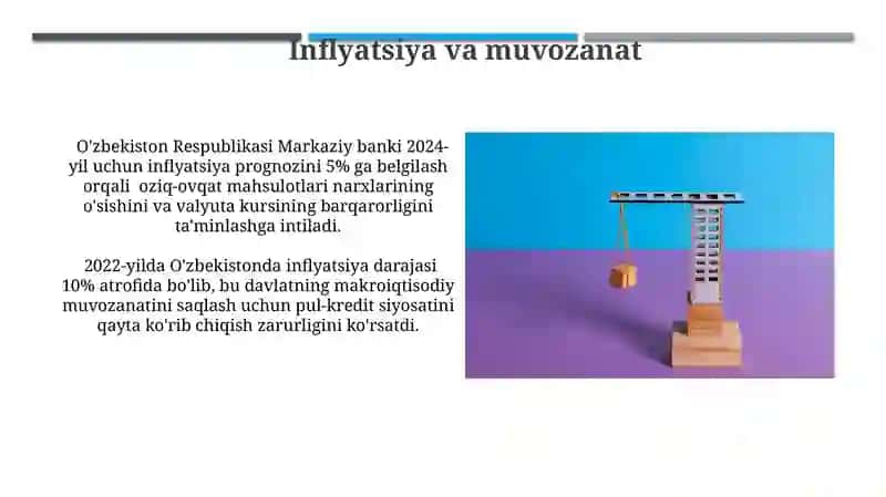 Byudjet siyosati 4
