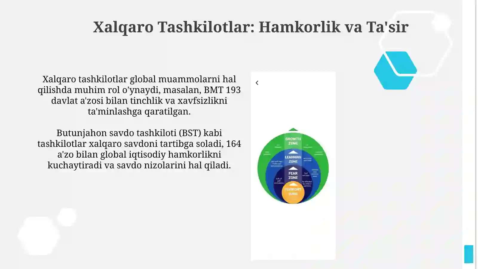 Xalqaro munosabatlar subyektlari 4