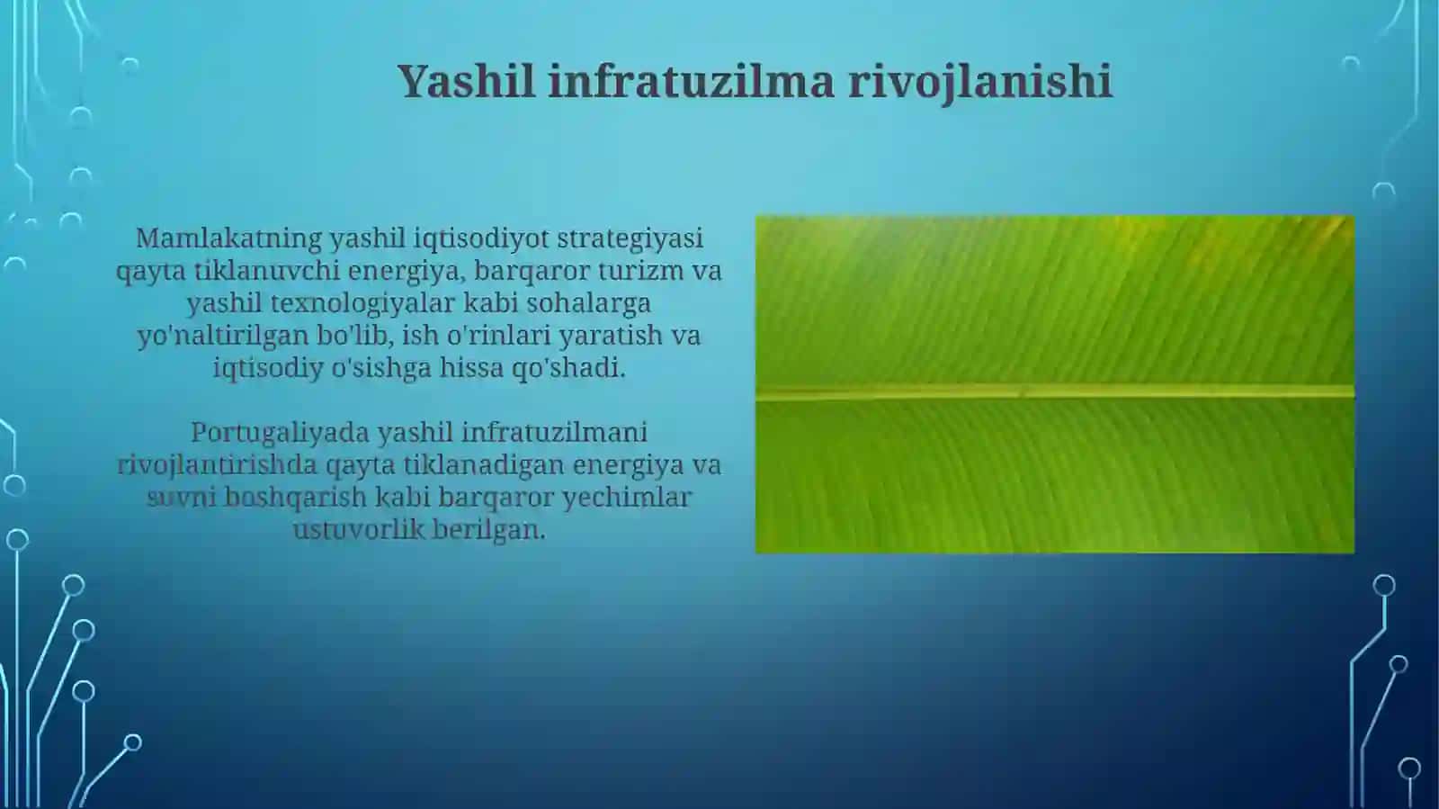 Portugaliyaning Yashil O'tish Safarlari 4