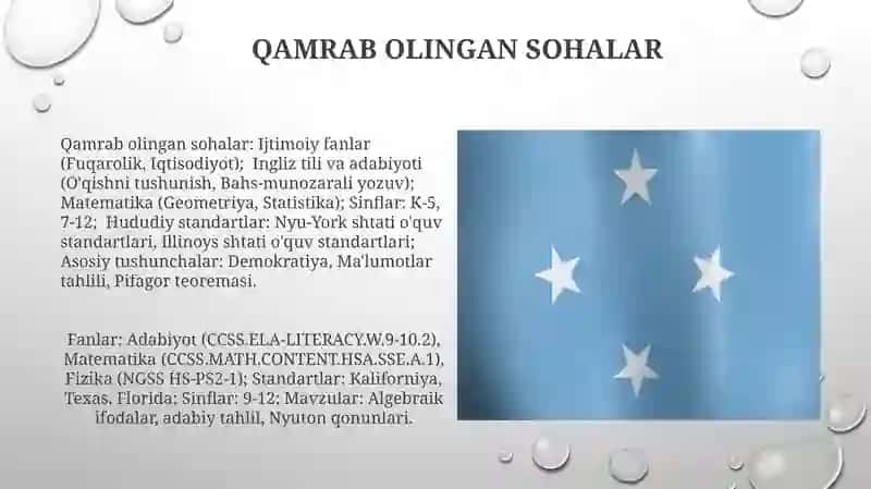 Ona tilida davlat standartlari 4