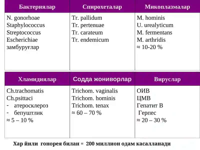 ТЕРИ-ТАНОСИЛ КАСАЛЛИКҚЎЗҒАТУВЧИЛАРИ 4