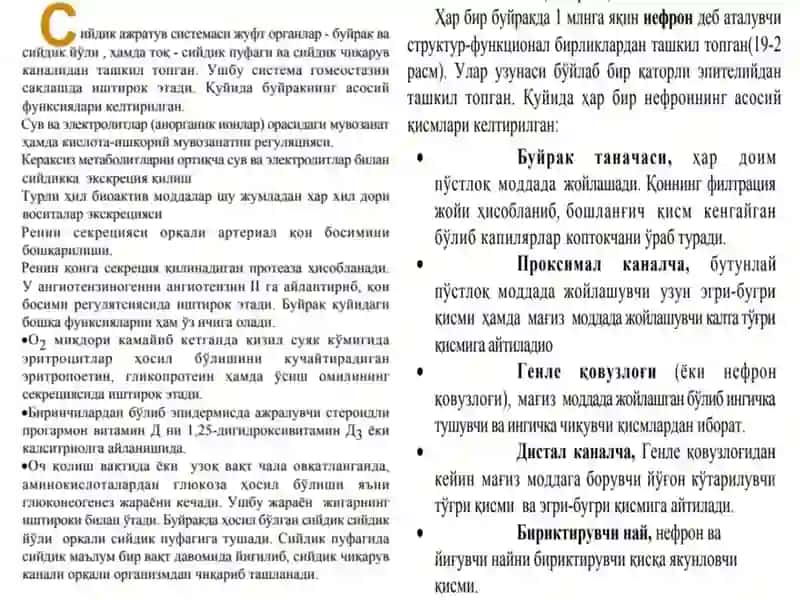Ayirish sistemasi gistalogiyasi 4