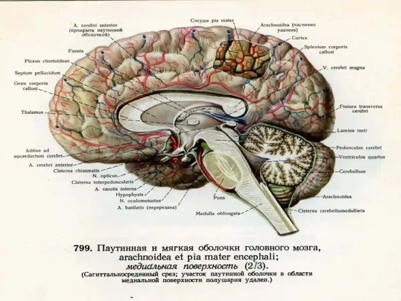 Яллиғланиш касалликлари 4
