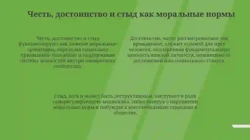Честь, достоинство, стыд как нравственные нормы 4