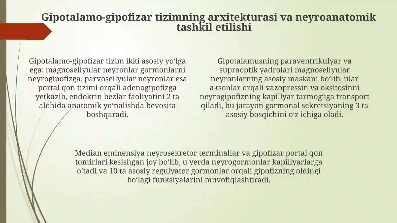 Gipotalamus neyrosekretsiyasi 4