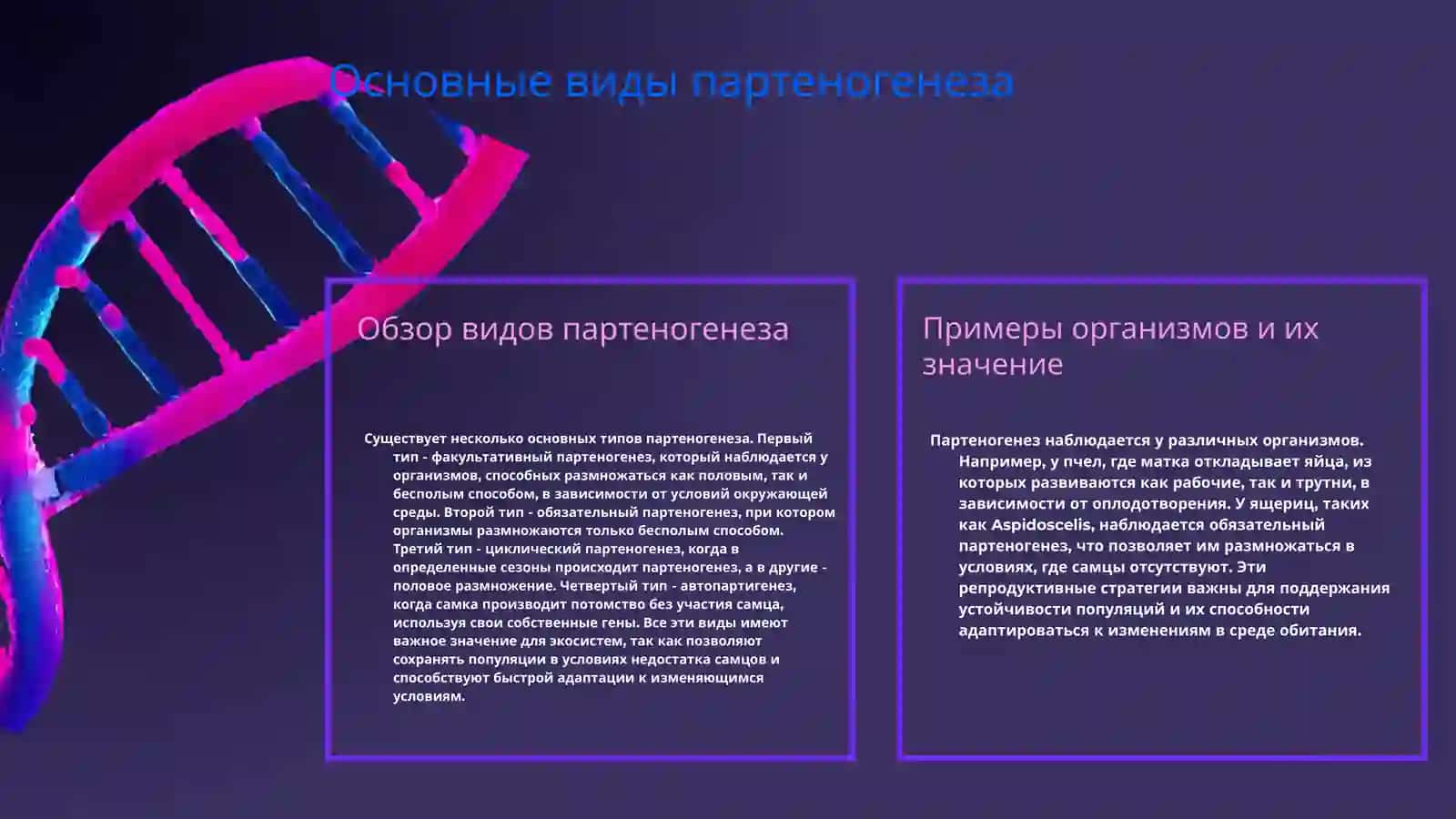 Партеногенез и его виды 4