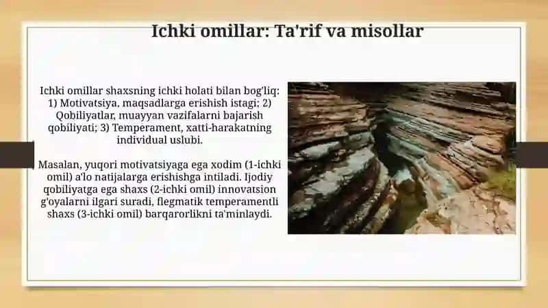 Ta'sir etuvchi omillar 4