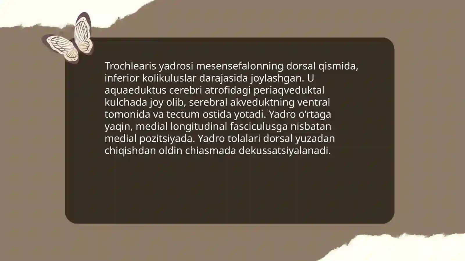 Nervus trochlearis klinik anatomiyasi 4