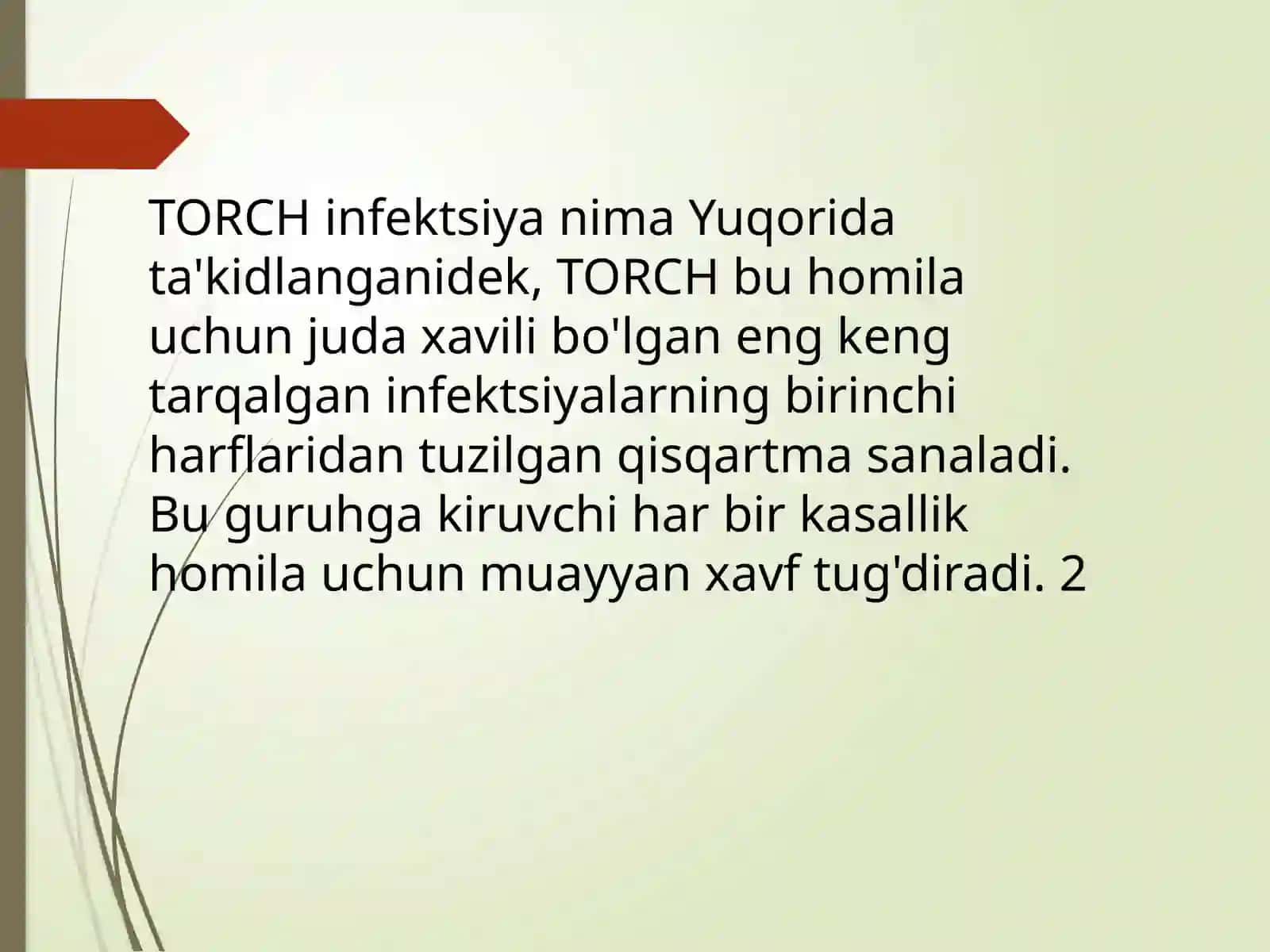 Torch infeksiya 4