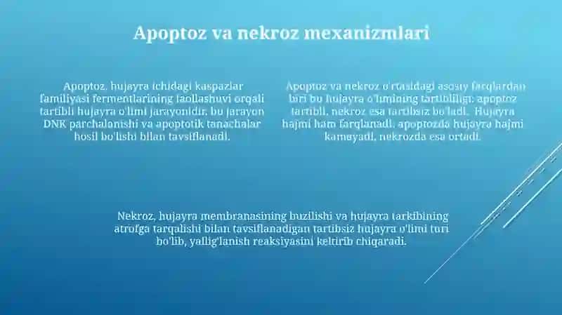 Toksik moddalarning molekulyar darajadagi ta’sir mexanizmlari 4