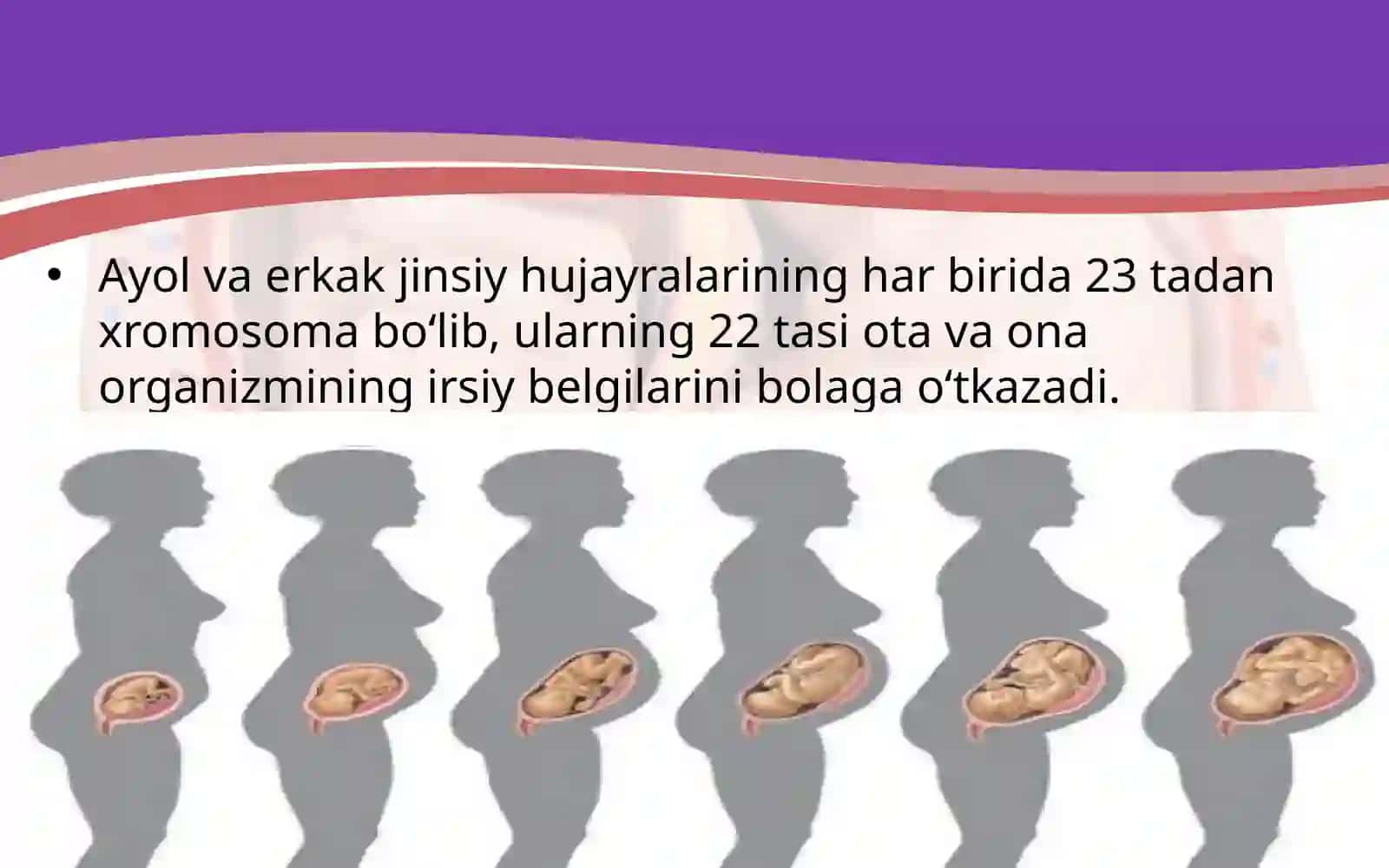 Urug‘lanish va homilaning rivojlanishi 4