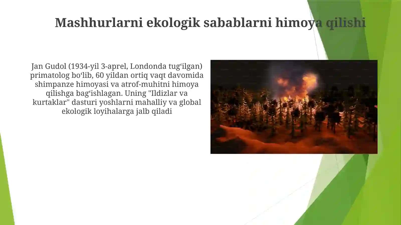 Natural disasters. Global warming and greenhouse effect. Famous people in the world 4