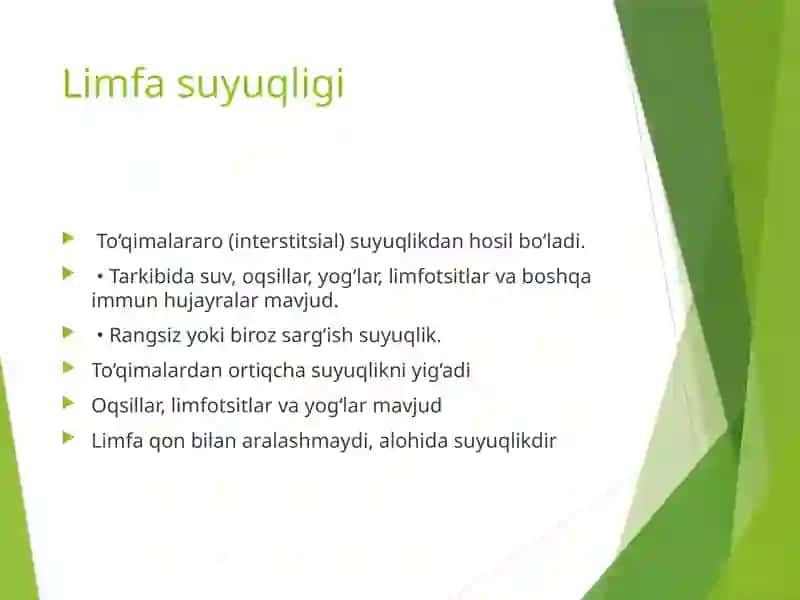 Limfa tizimi 4