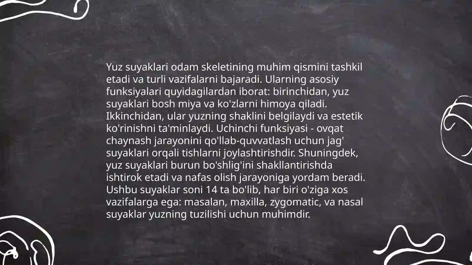 Yuz jag’ suyaklari anatomyasi 4