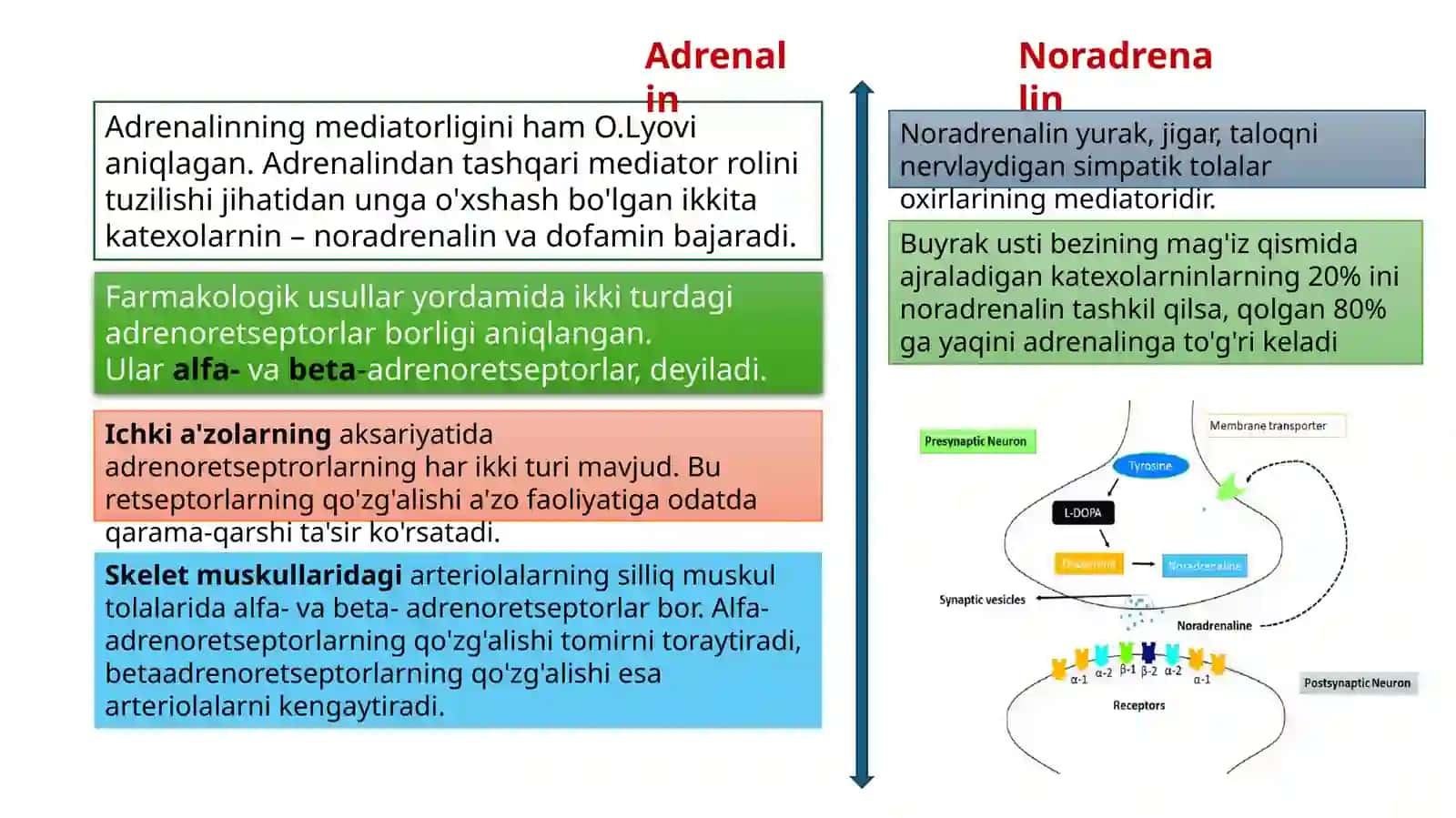 AVTONOM NERV TIZIMI MEDIATORLARI 4