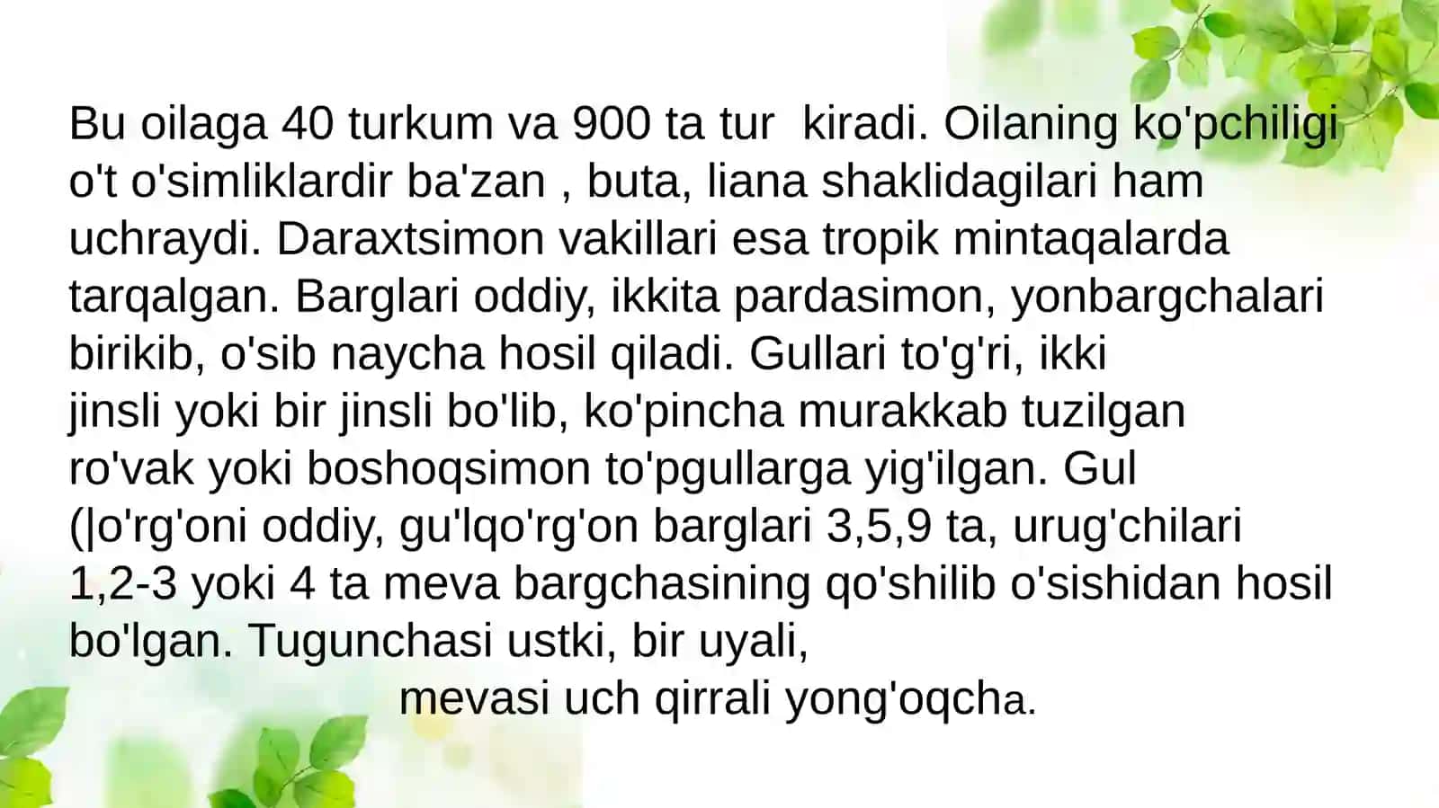 Torondoshlar(Polygonaceae) oilasi 4